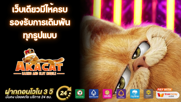 akacats สล็อต